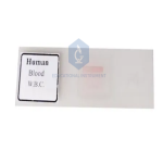 Human Blood W.B.C Slide